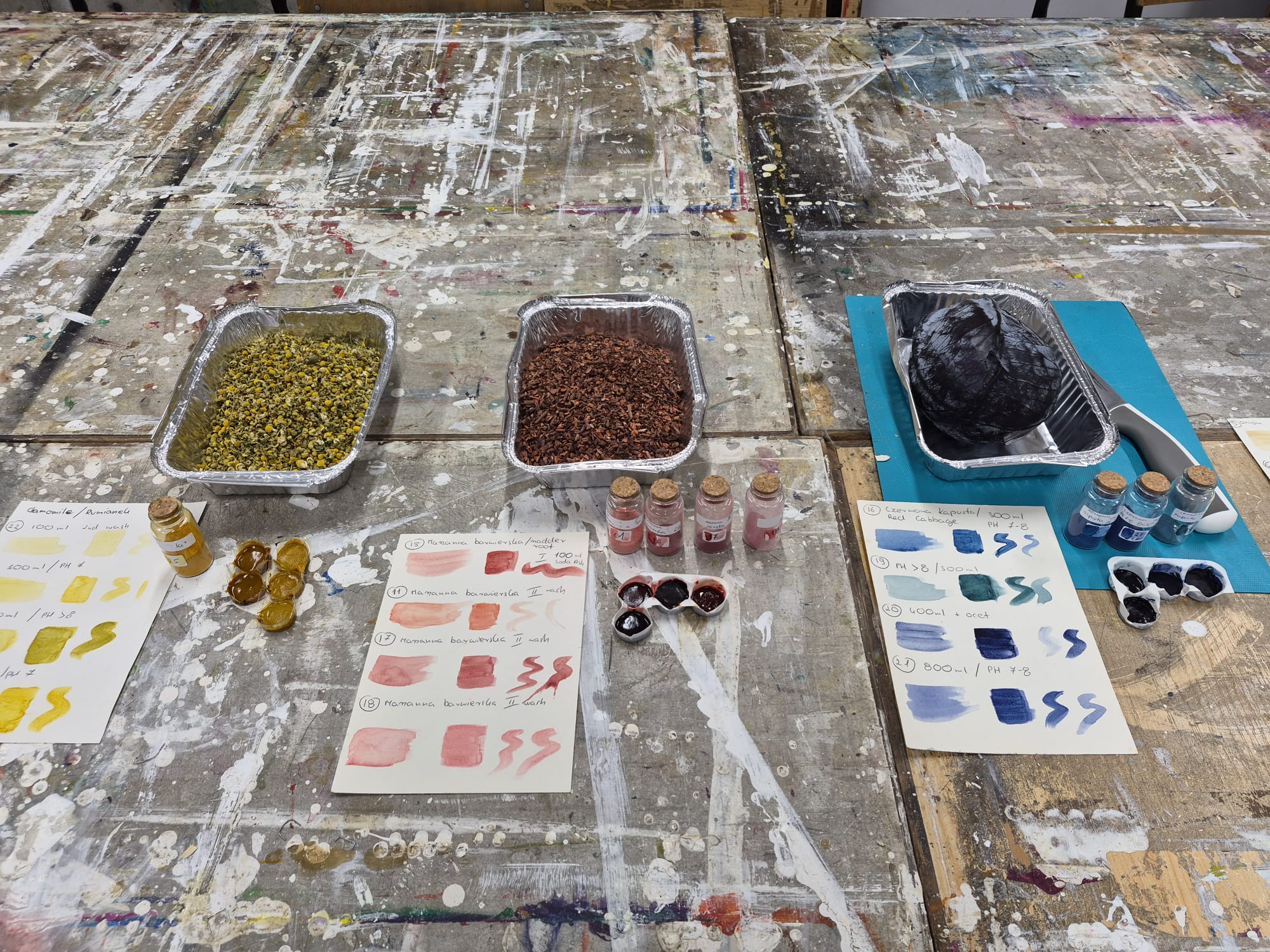 Plant materials, pigments and colour tests on a workshop table