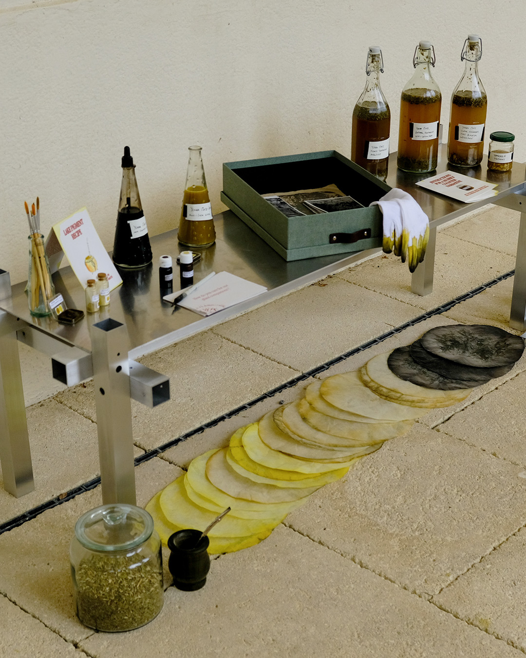 Subtropical Ghosts installation overview